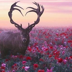 Meet your Posher, Marina